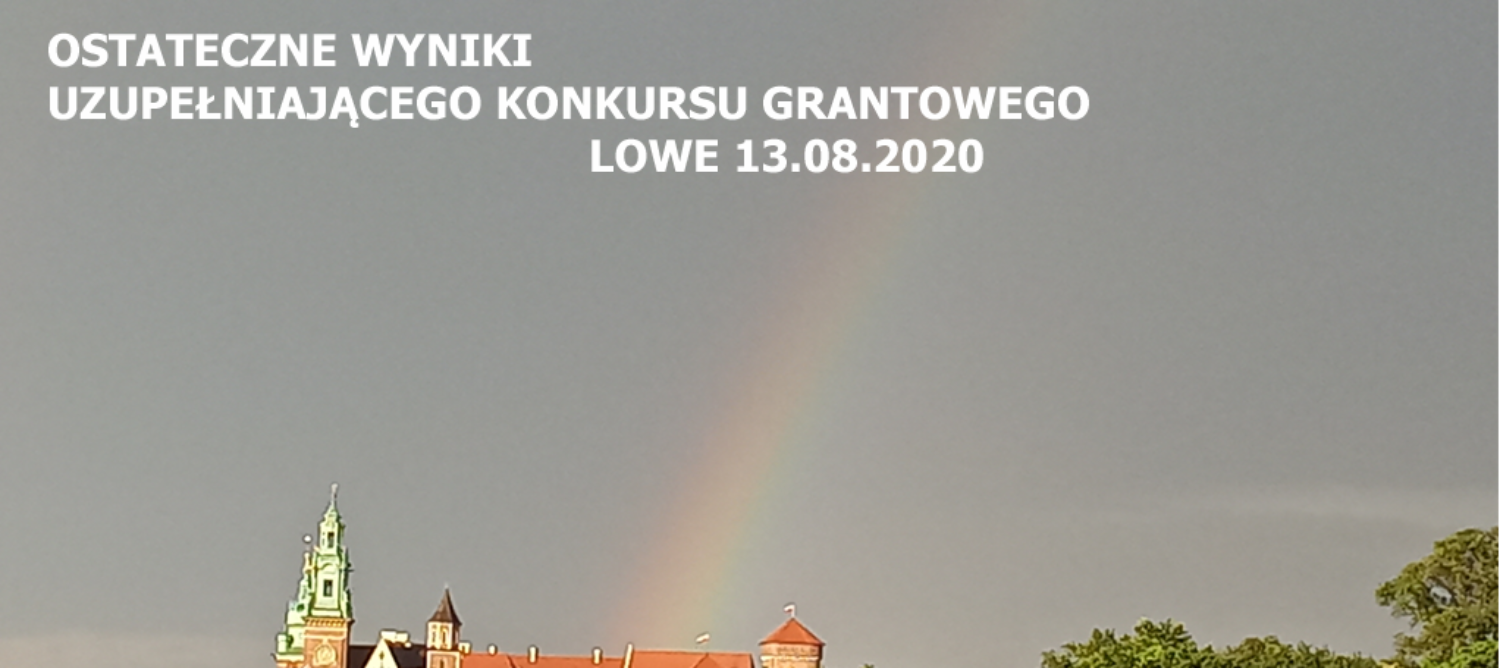OSTATECZNE WYNIKI UZUPEŁNIAJĄCEGO KONKURSU GRANTOWEGO LOWE, 13.08.2020