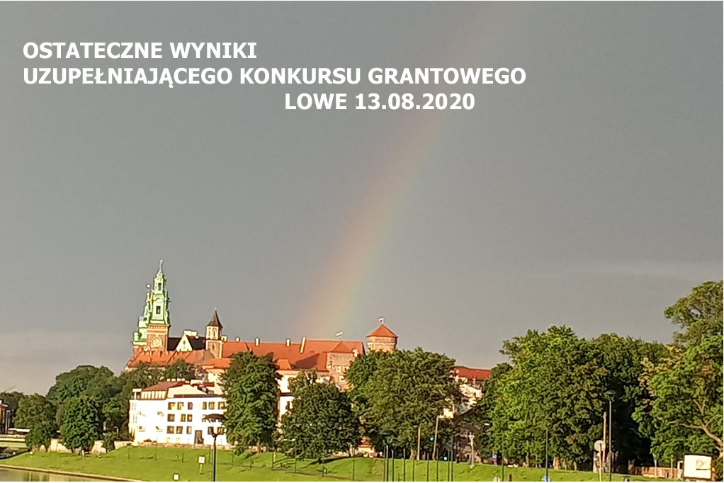 OSTATECZNE WYNIKI UZUPEŁNIAJĄCEGO KONKURSU GRANTOWEGO LOWE, 13.08.2020